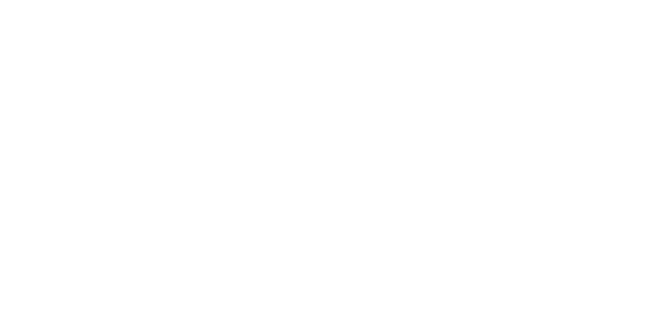 플레이텍 logo