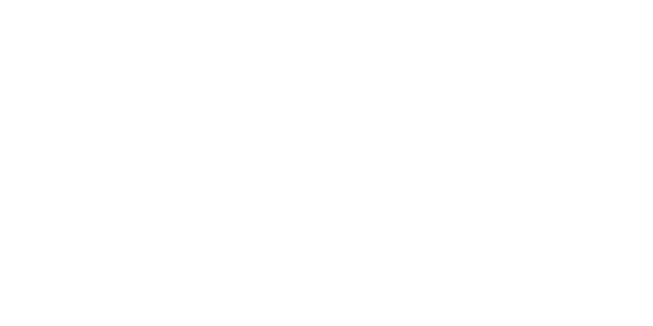 넷엔트 logo